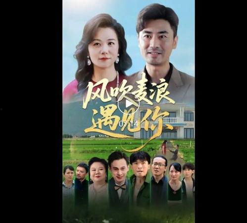 全在线观看免费观看,全在线观影盛宴  第3张